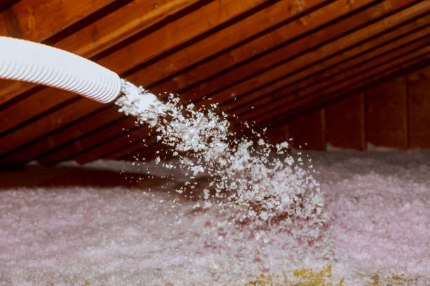 Best Crawl Space Insulation  in Tolar, TX